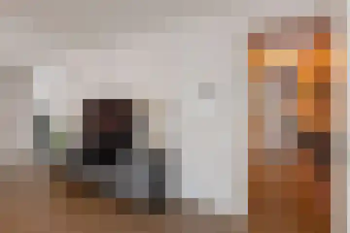 Brink 6 f Eibergen thumbnail 5