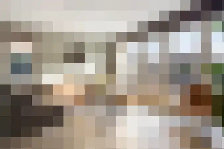 Brink 6 Nijmegen thumbnail 10
