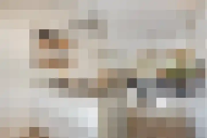Brink 6 Nijmegen thumbnail 19