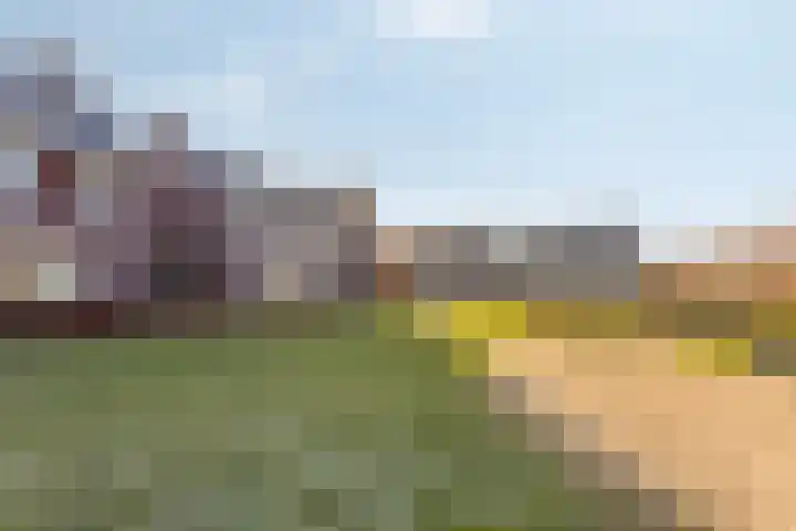 Brink 6 Nijmegen thumbnail 37