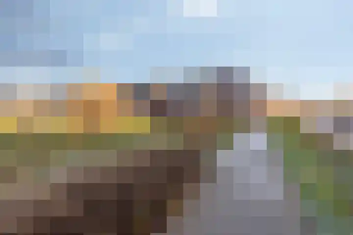 Brink 6 Nijmegen thumbnail 39