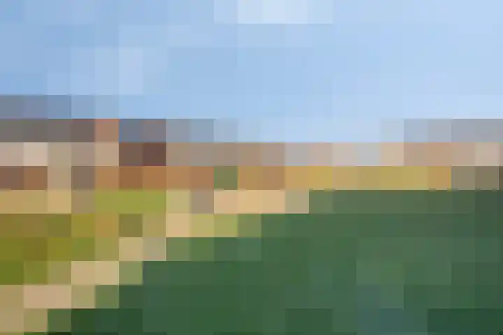 Brink 6 Nijmegen thumbnail 40