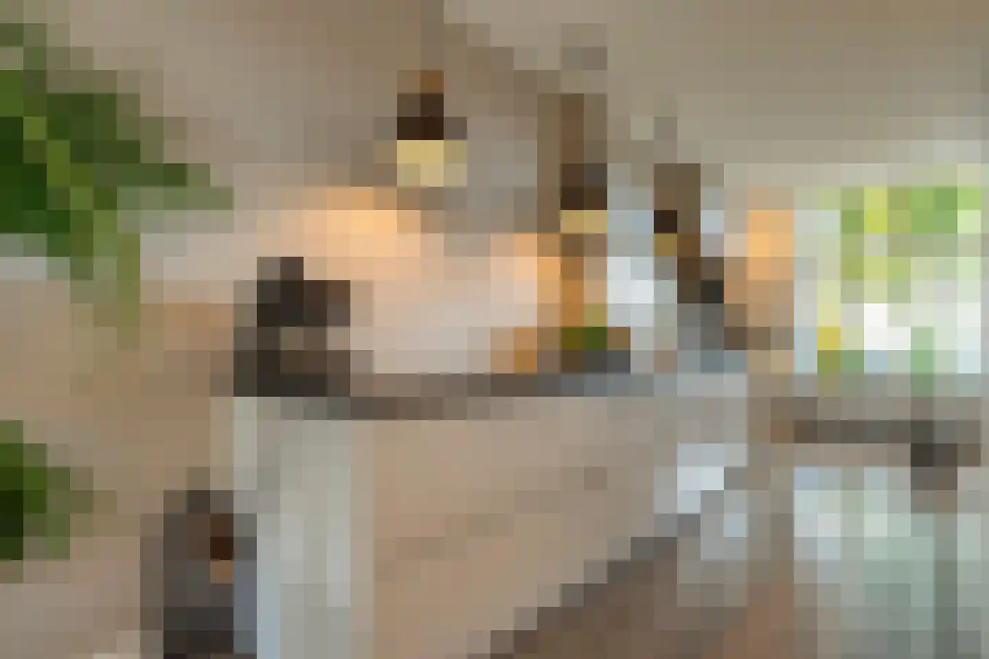 Brink 6 Zwolle thumbnail 13