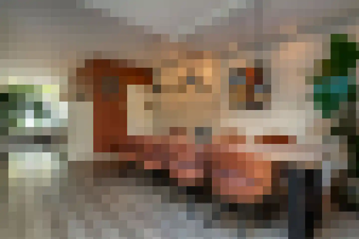 Brink 6 Zwolle thumbnail 18