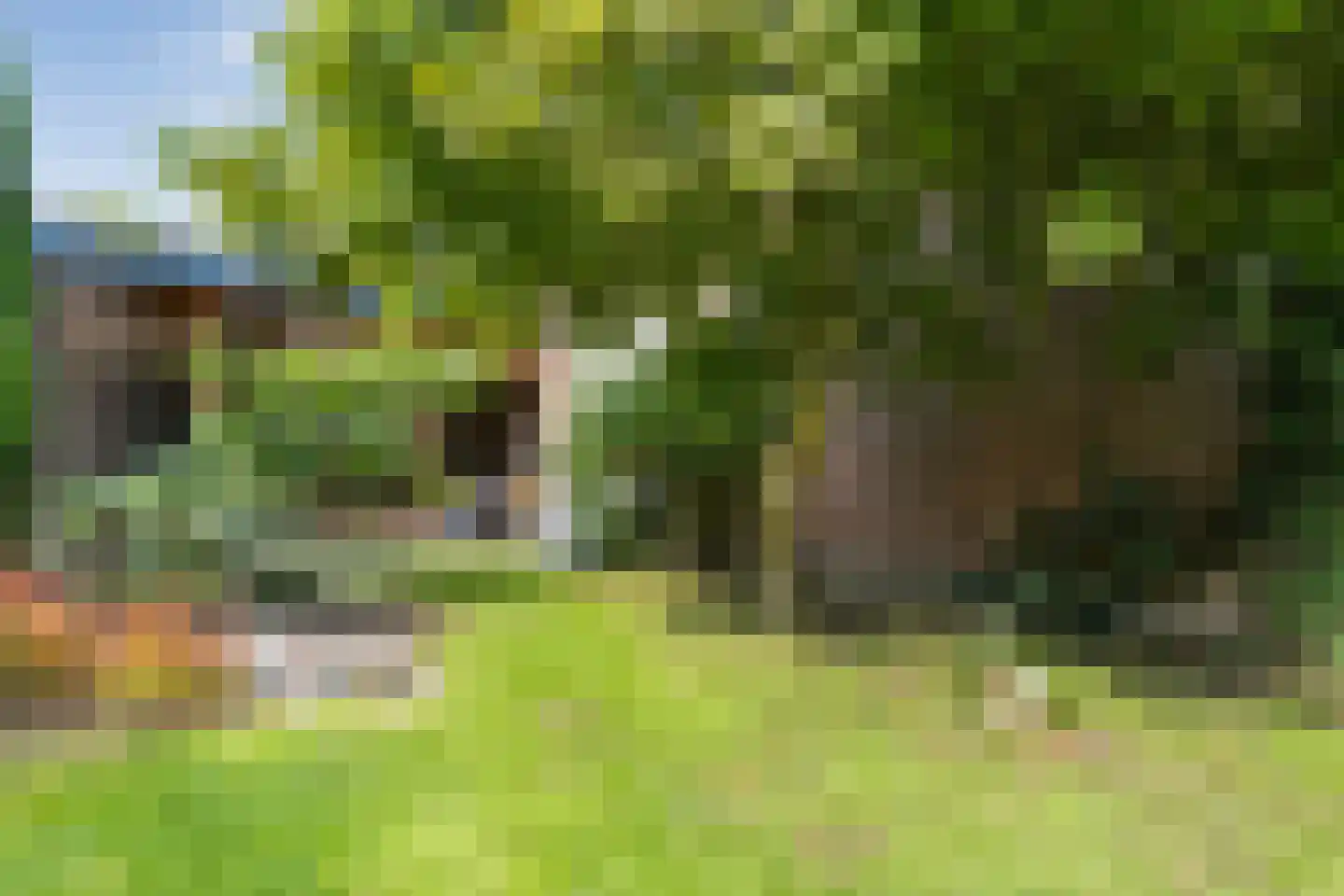 Brink 6 Zwolle thumbnail 28