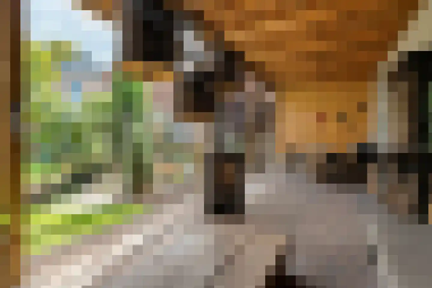 Brink 6 Zwolle thumbnail 30