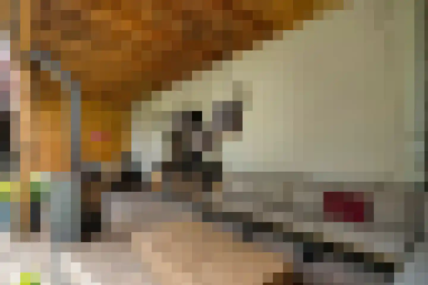 Brink 6 Zwolle thumbnail 31