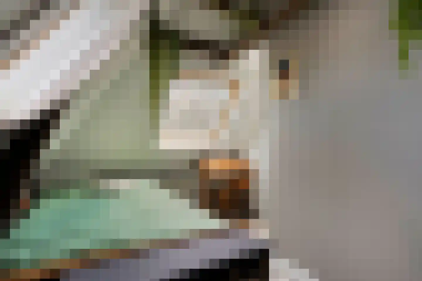 Brink 6 Zwolle thumbnail 50