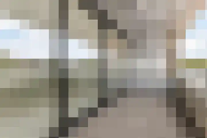 Brink 78 Amstelveen thumbnail 11