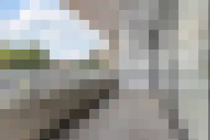 Brink 78 Amstelveen thumbnail 4