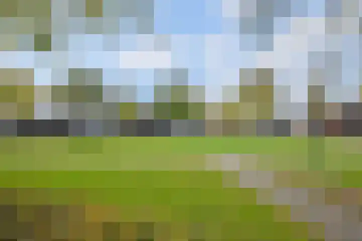 Brink 8 A Bathmen thumbnail 12