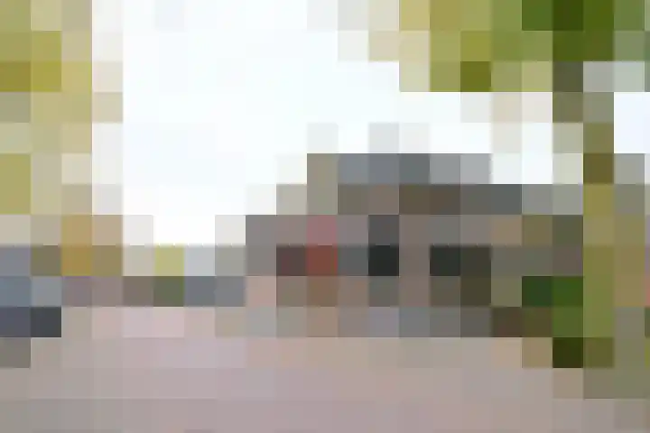 Brink 8 A Bathmen thumbnail 15