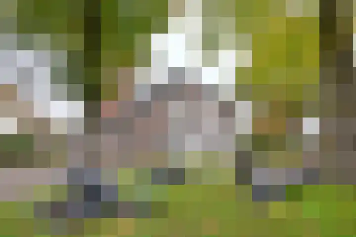 Brink 8 A Bathmen thumbnail 16