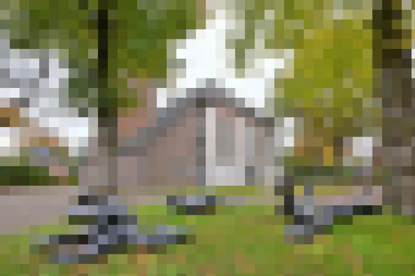 Brink 8 A Bathmen thumbnail 17