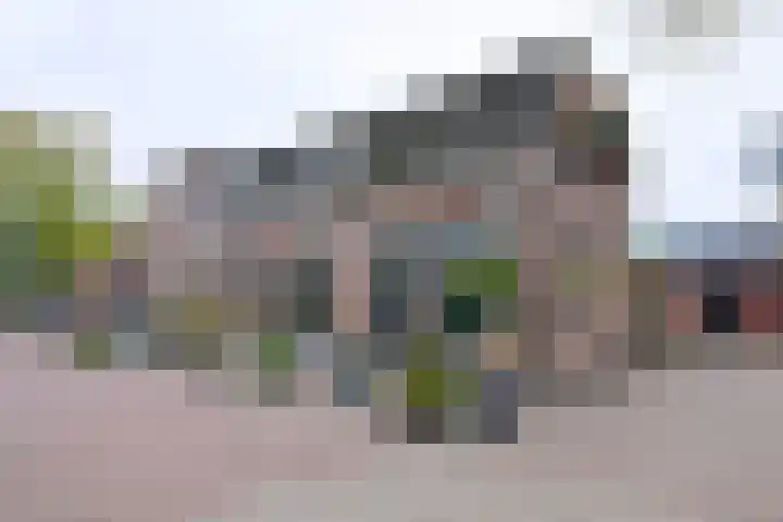 Brink 8 A Bathmen thumbnail 20