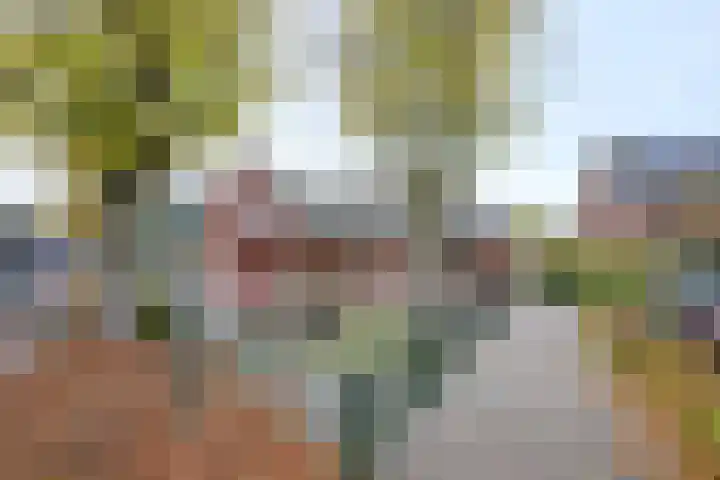 Brink 8 A Bathmen thumbnail 21