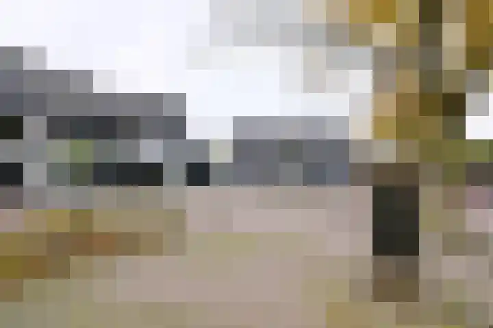 Brink 8 A Bathmen thumbnail 5