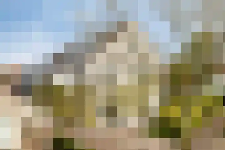 Brink 8 B Bathmen thumbnail 18