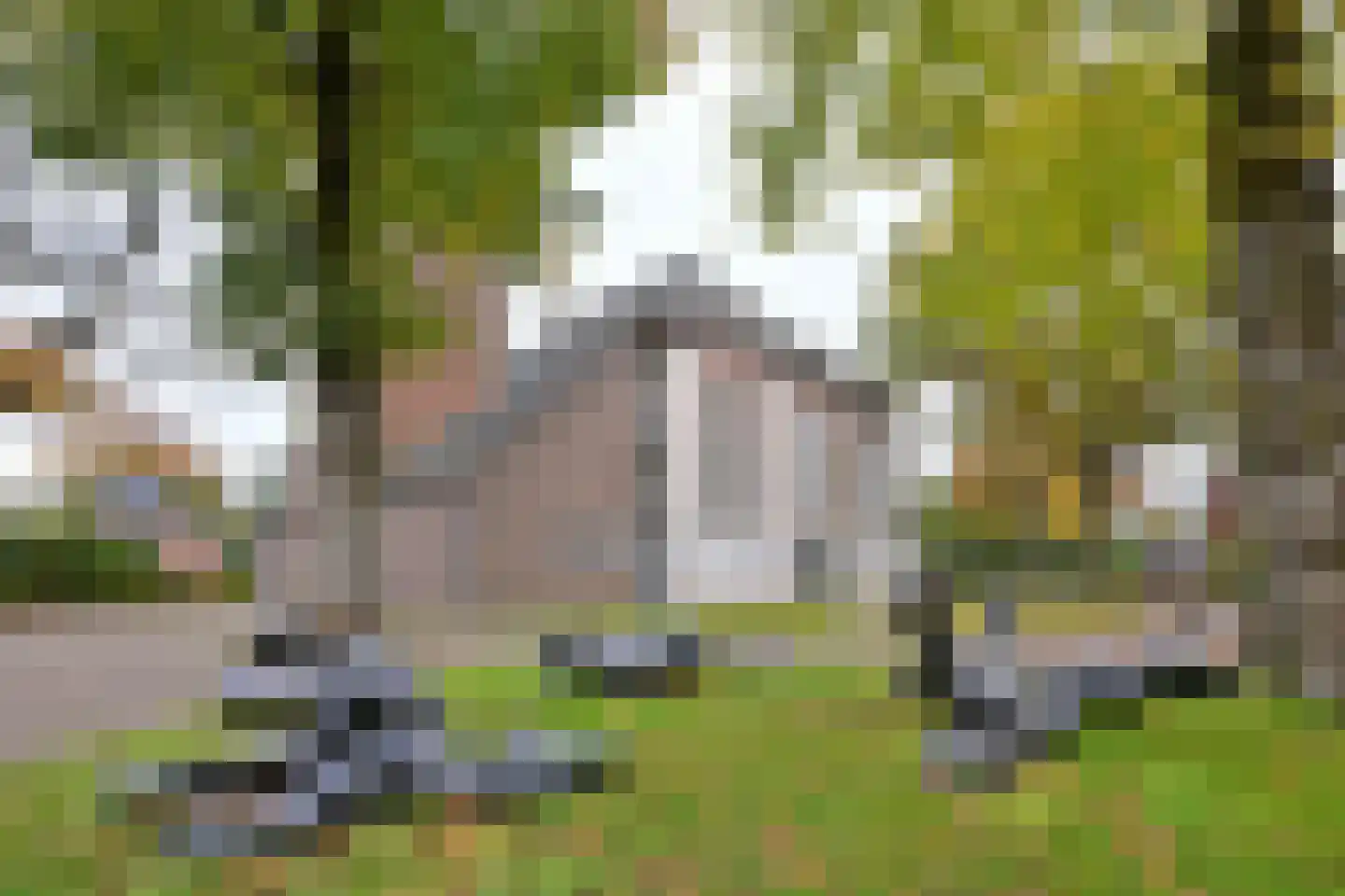 Brink 8 C Bathmen thumbnail 19