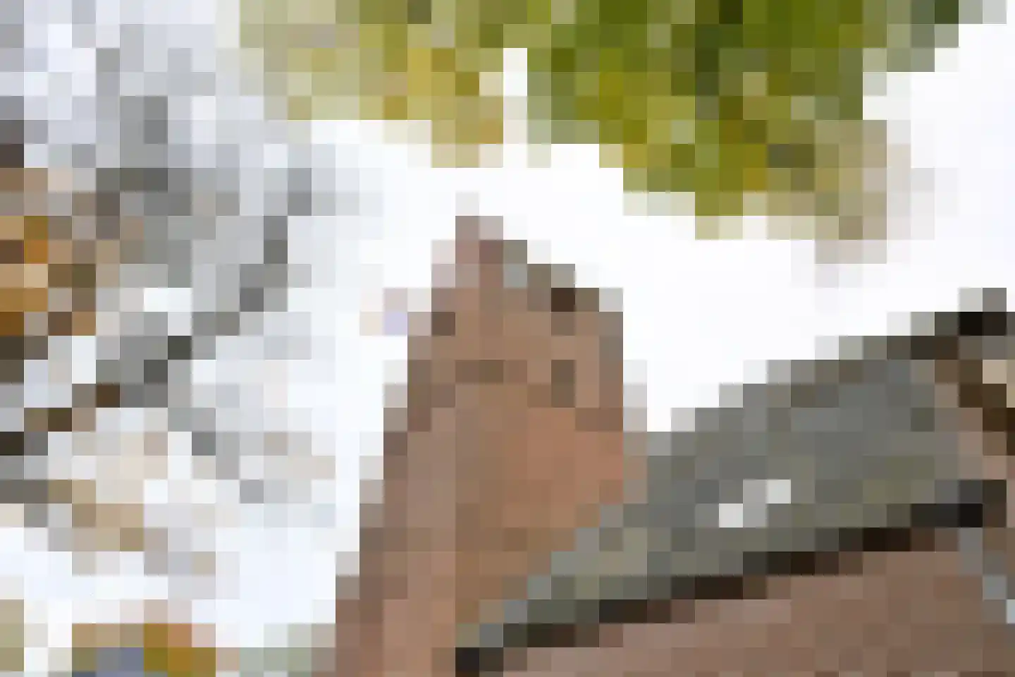 Brink 8 C Bathmen thumbnail 20