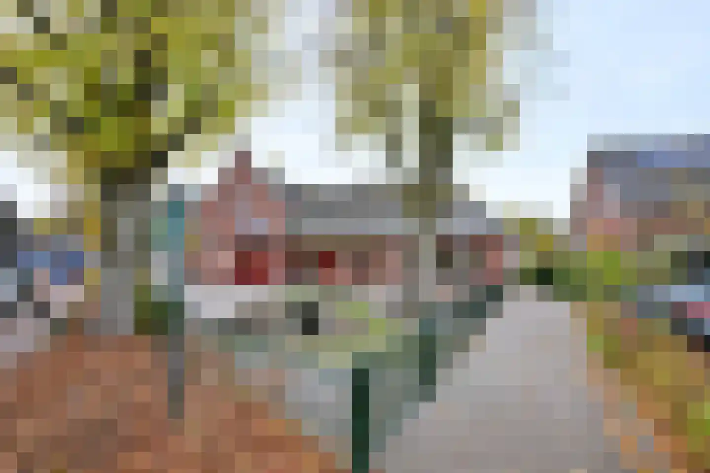 Brink 8 C Bathmen thumbnail 24