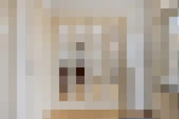 Brink 8 Noordwijkerhout thumbnail 17