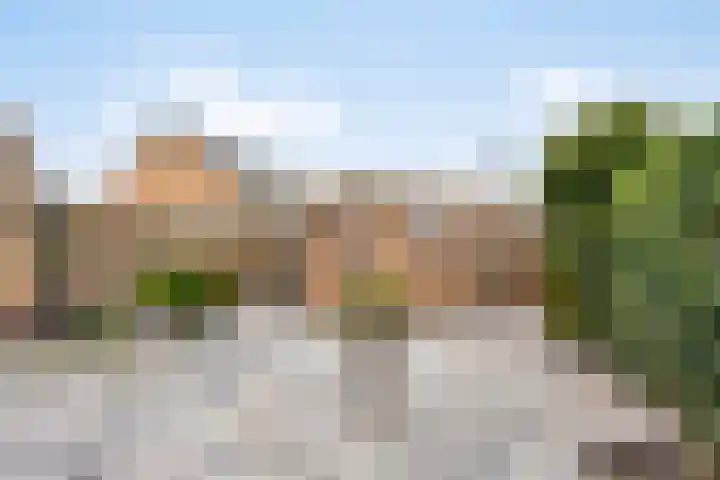 Brink 8 Noordwijkerhout thumbnail 35