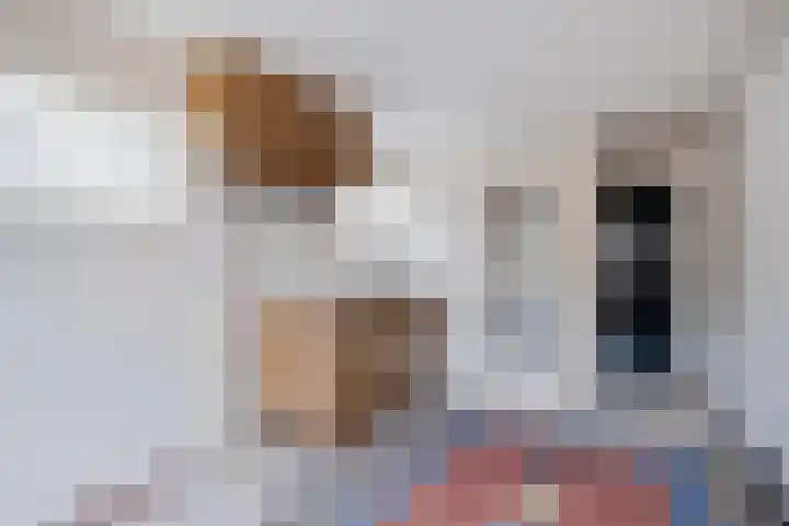 Brink 8 Noordwijkerhout thumbnail 36