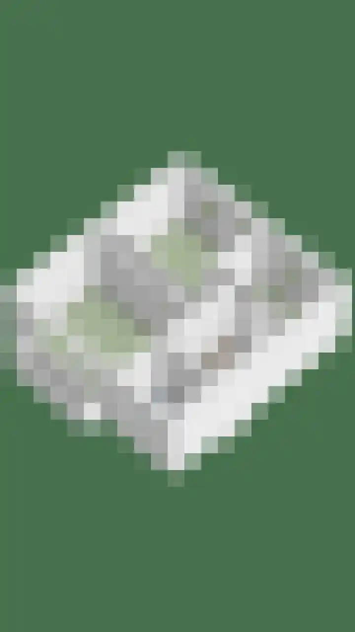 Brink 8 Noordwijkerhout thumbnail 52