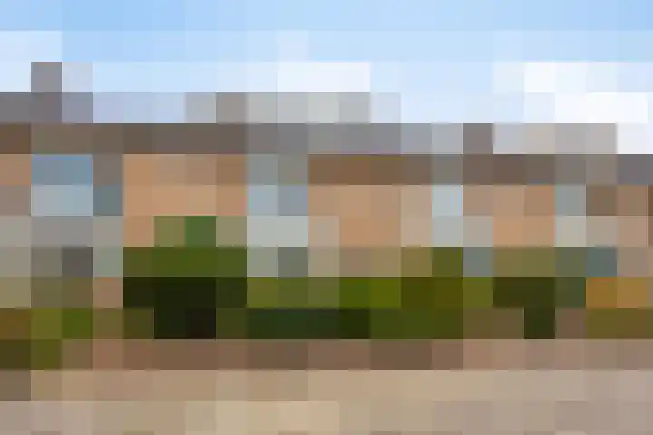Brink 8 Noordwijkerhout thumbnail 6
