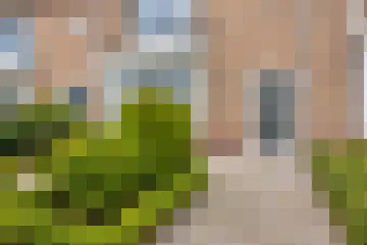 Brink 8 Noordwijkerhout thumbnail 7