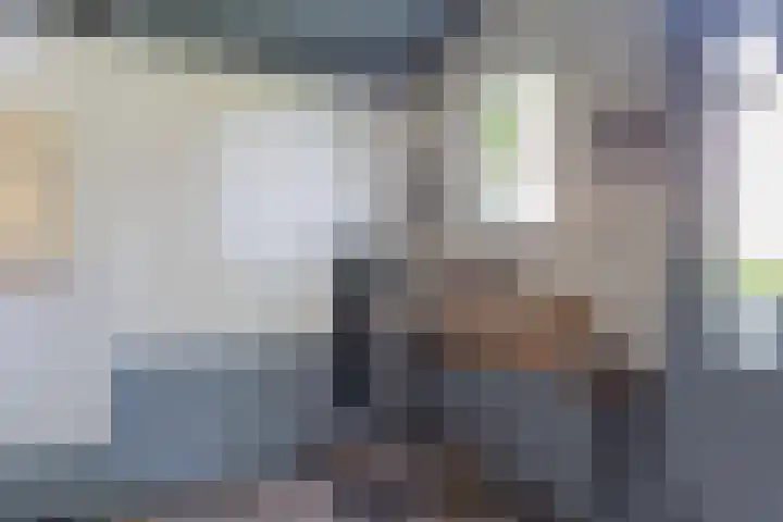 Brink 8 Sleen thumbnail 19