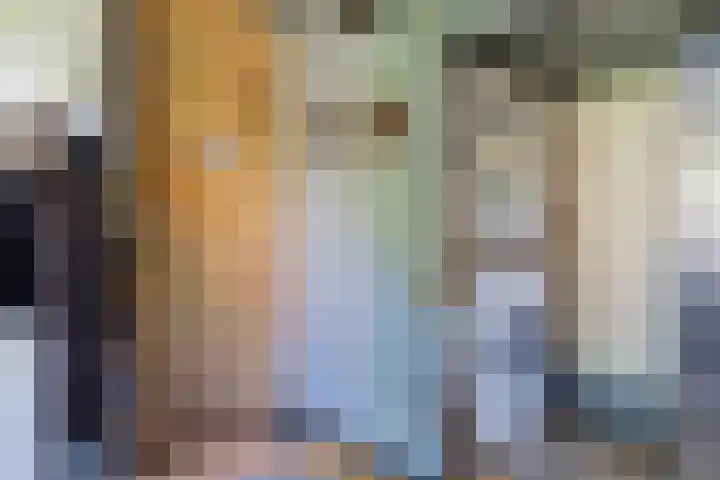 Brink 8 Sleen thumbnail 20