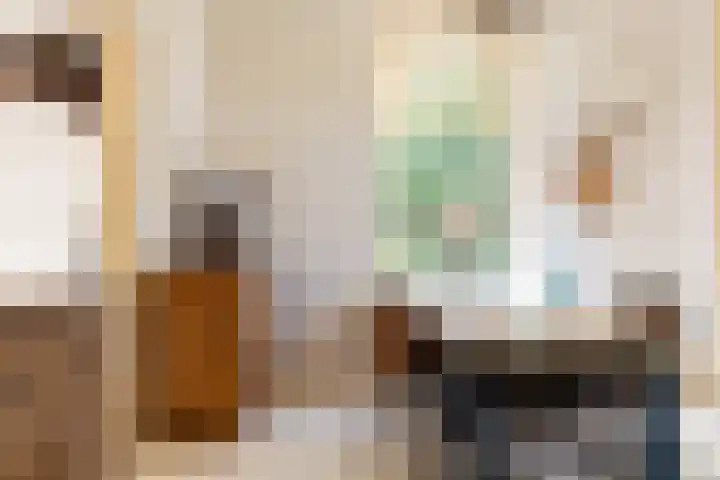 Brink 8 Sleen thumbnail 22