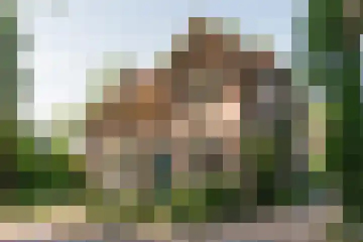 Brink 8 Sleen thumbnail 4