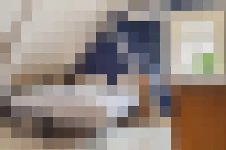 Brink 8 Sleen thumbnail 41