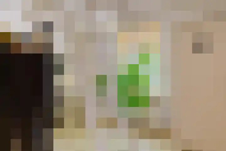 Brink 8 Sleen thumbnail 44