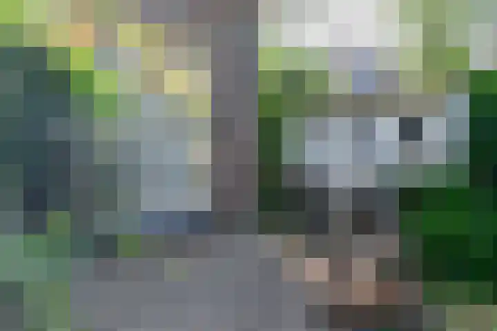 Brink 8 Sleen thumbnail 48