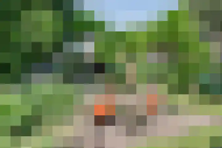 Brink 8 Sleen thumbnail 49