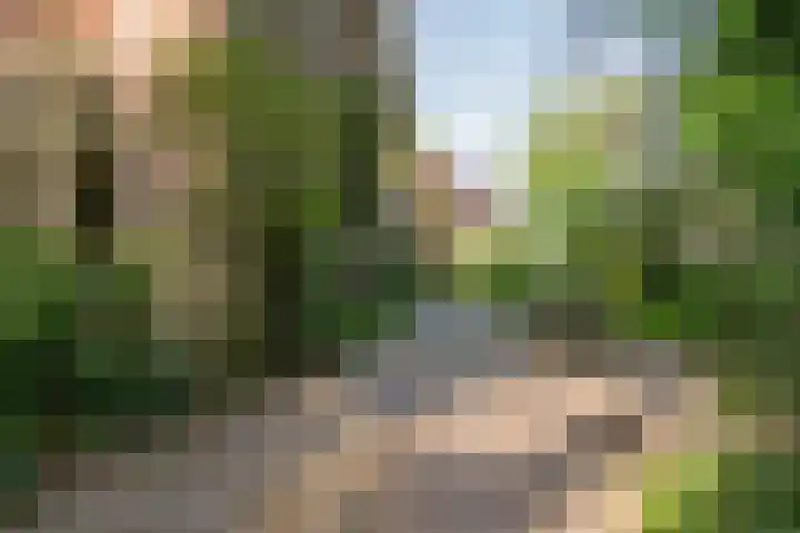 Brink 8 Sleen thumbnail 5