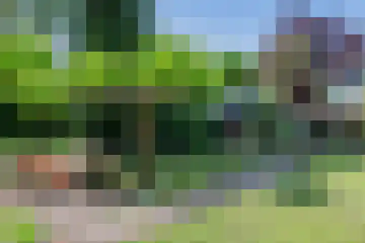 Brink 8 Sleen thumbnail 50