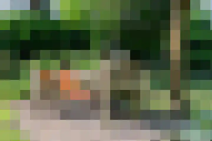 Brink 8 Sleen thumbnail 51