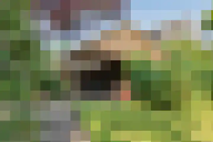 Brink 8 Sleen thumbnail 52