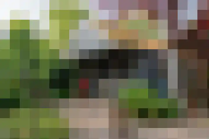 Brink 8 Sleen thumbnail 53