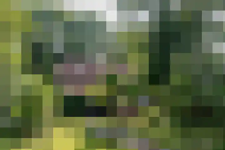 Brink 8 Sleen thumbnail 54