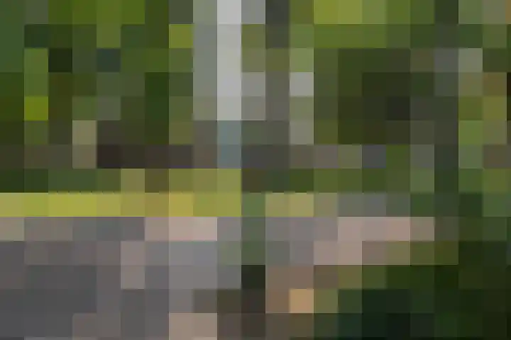 Brink 8 Sleen thumbnail 6