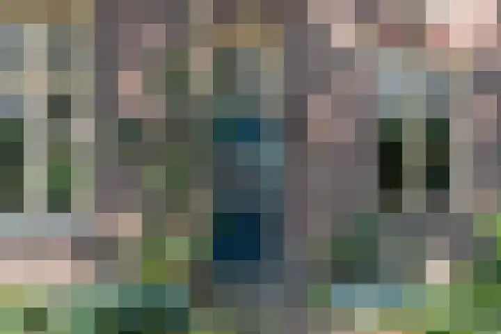 Brink 8 Sleen thumbnail 7
