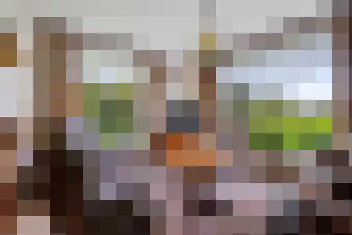Brink 8 Tynaarlo thumbnail 11