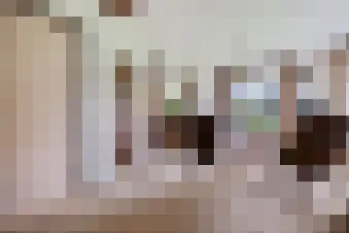 Brink 8 Tynaarlo thumbnail 12