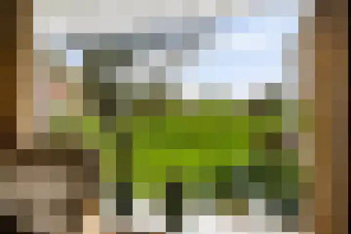 Brink 8 Tynaarlo thumbnail 13